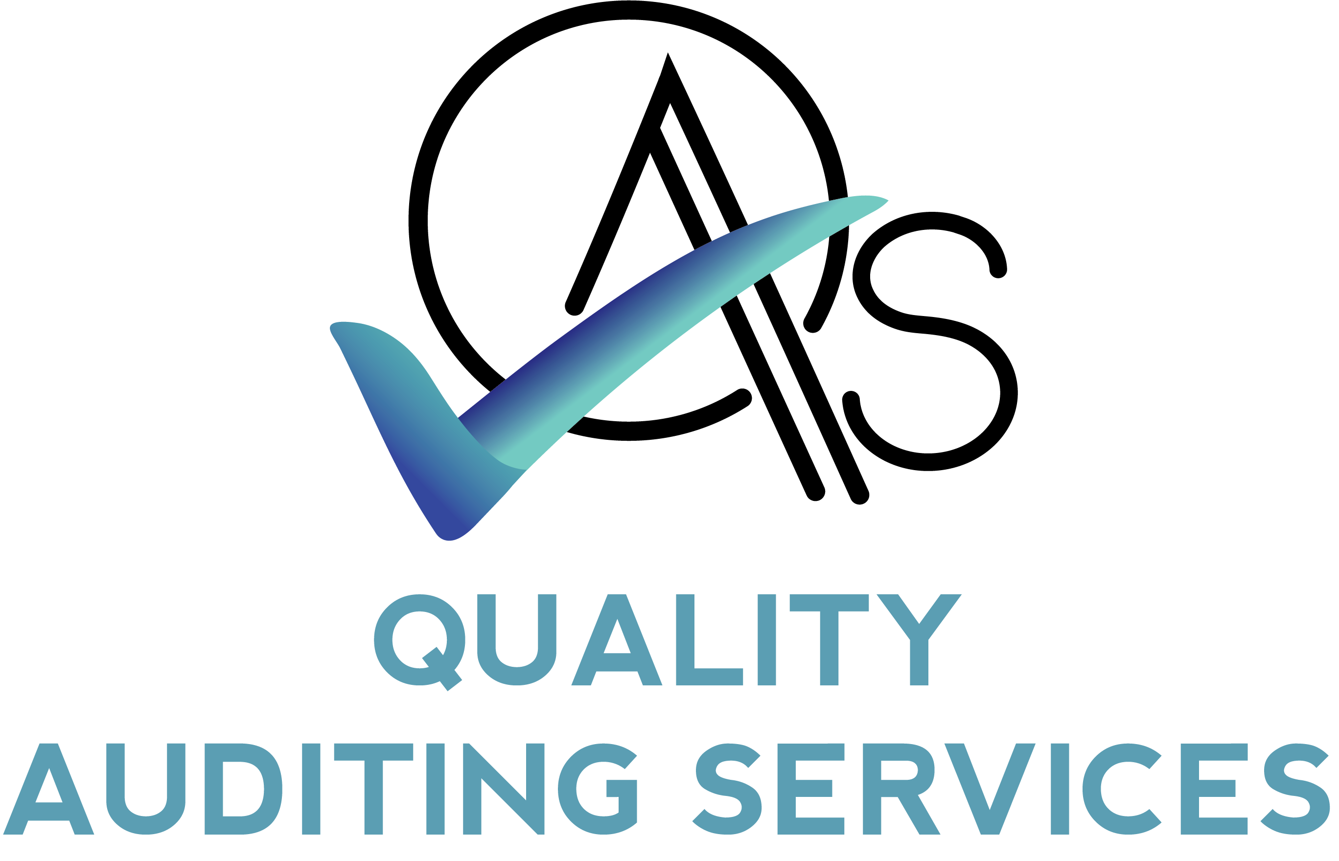 qualityauditingservices.com